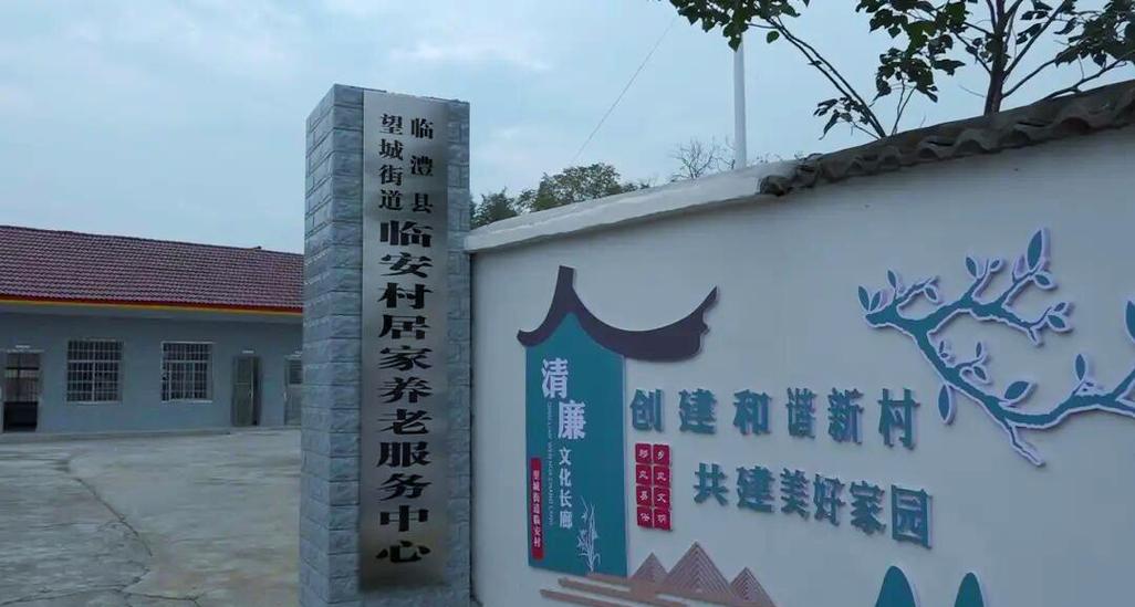 临澧县农村养老服务体系的多元化发展与提升路径